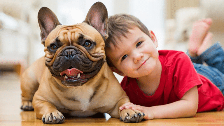 Are Frenchies Good With Kids? Let’s Break It Down
