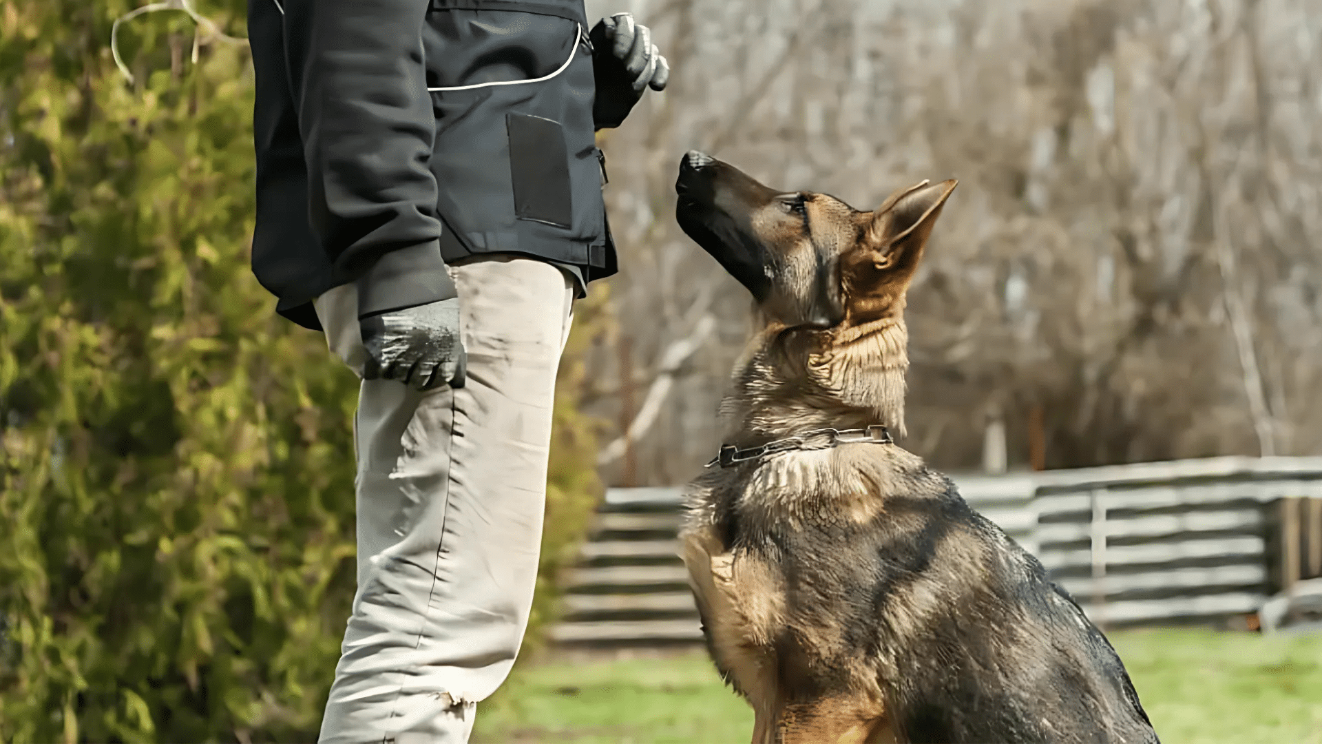 How_to_Harness_Their_Protective_Instincts