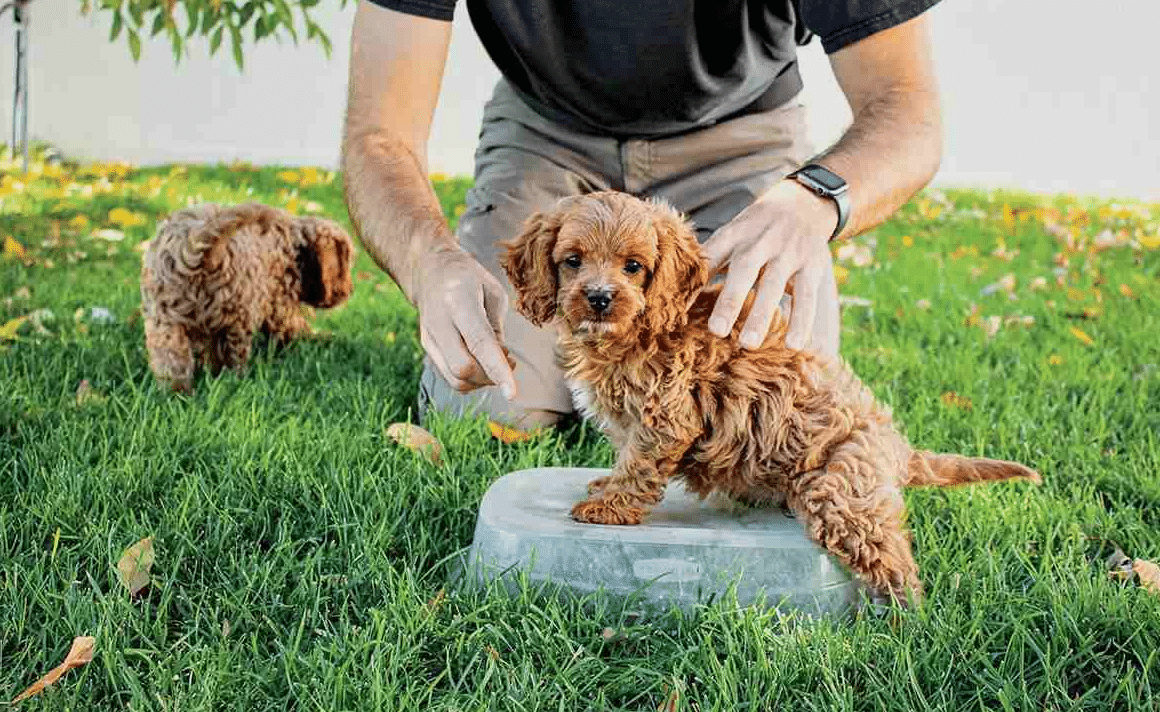 When_to_Get_Professional_Help