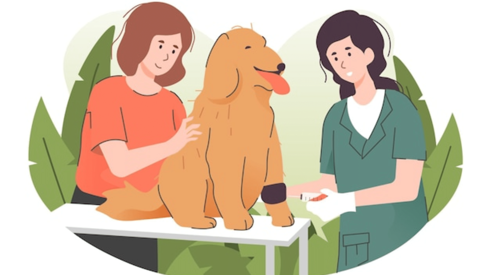 At-Home Recovery Care