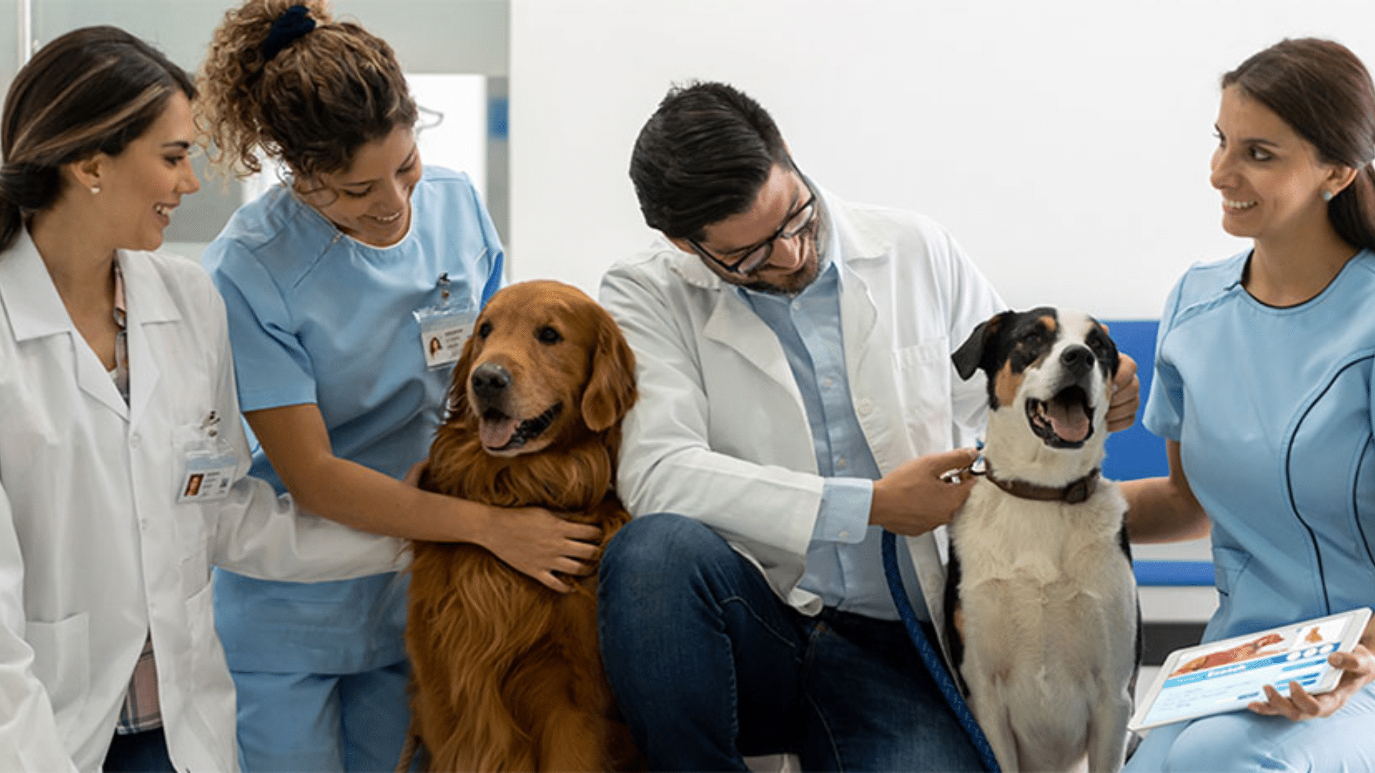 Follow-Up Treatment Schedule