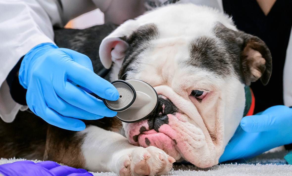 Health Concerns and Professional Help