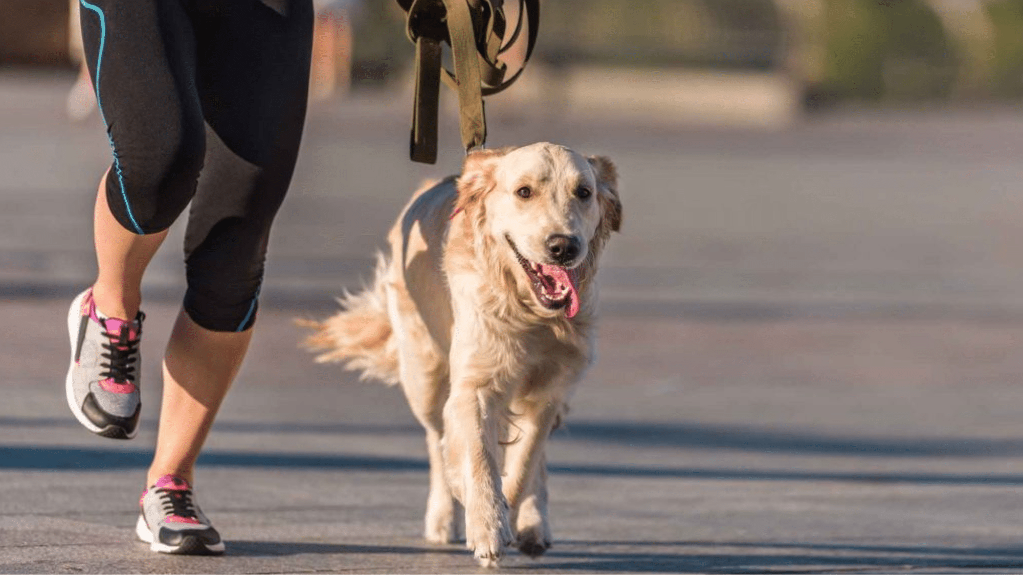 Why Professional Guidance Matters