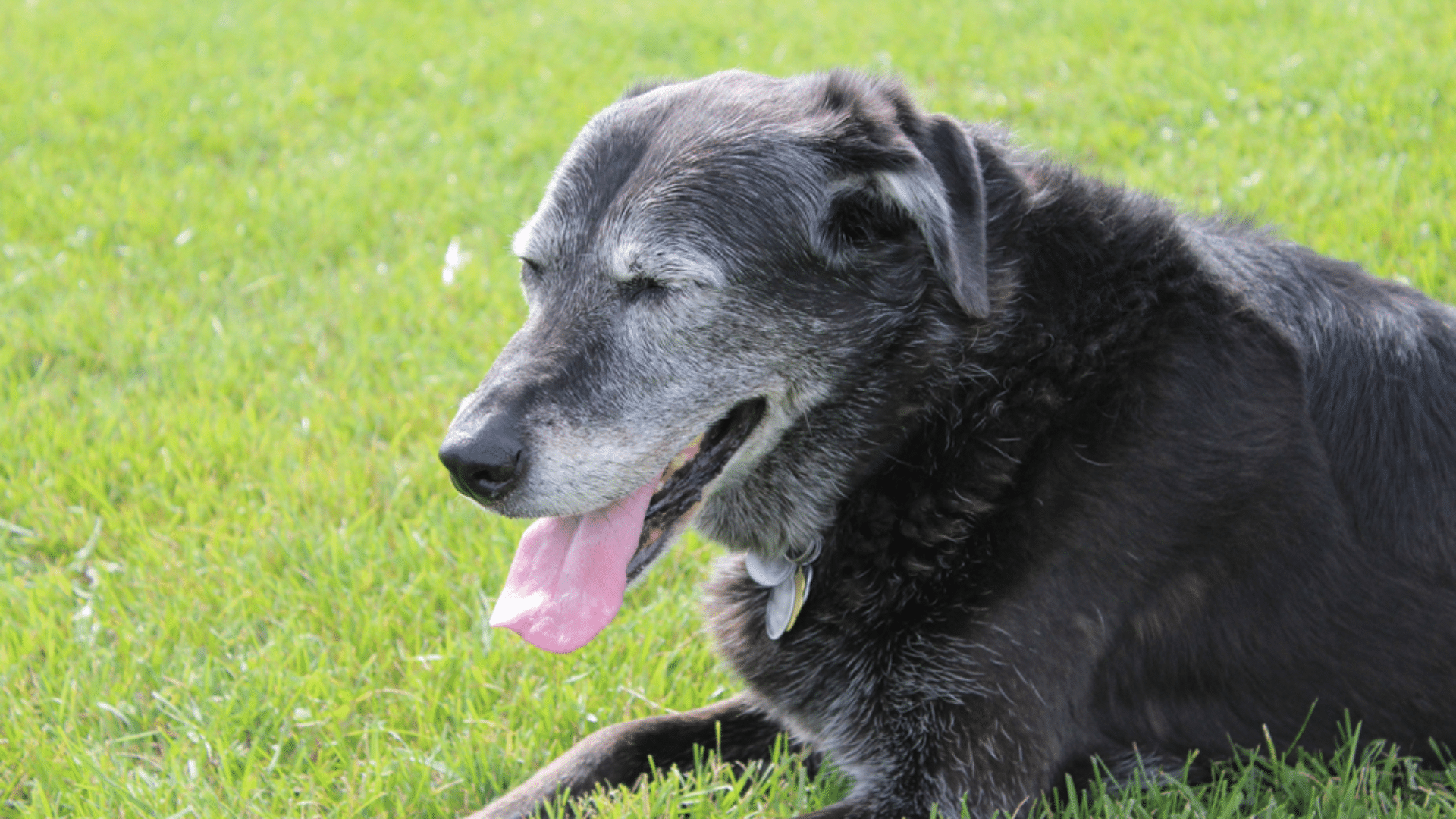 common-triggers-of-heavy-breathing