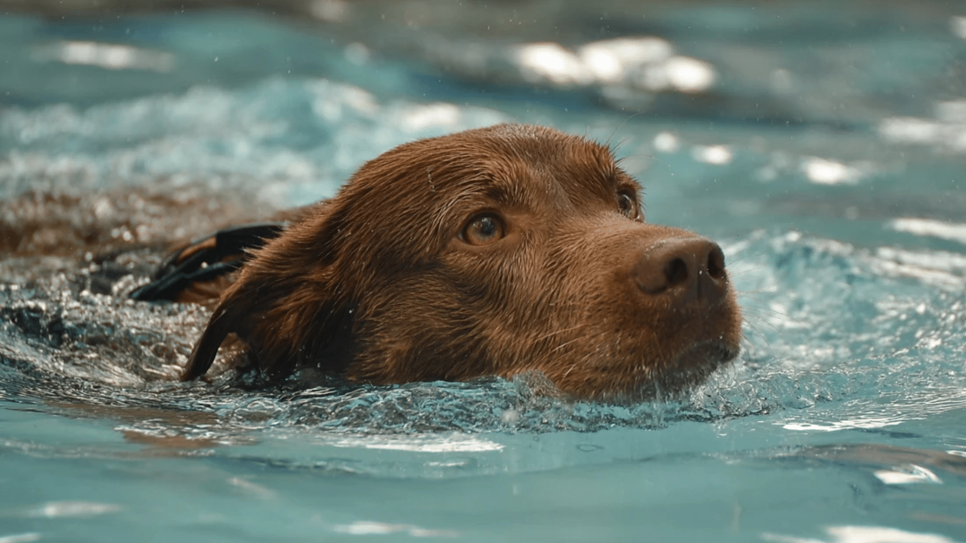 controlled-exercise-and-avoid-high-impact-activities