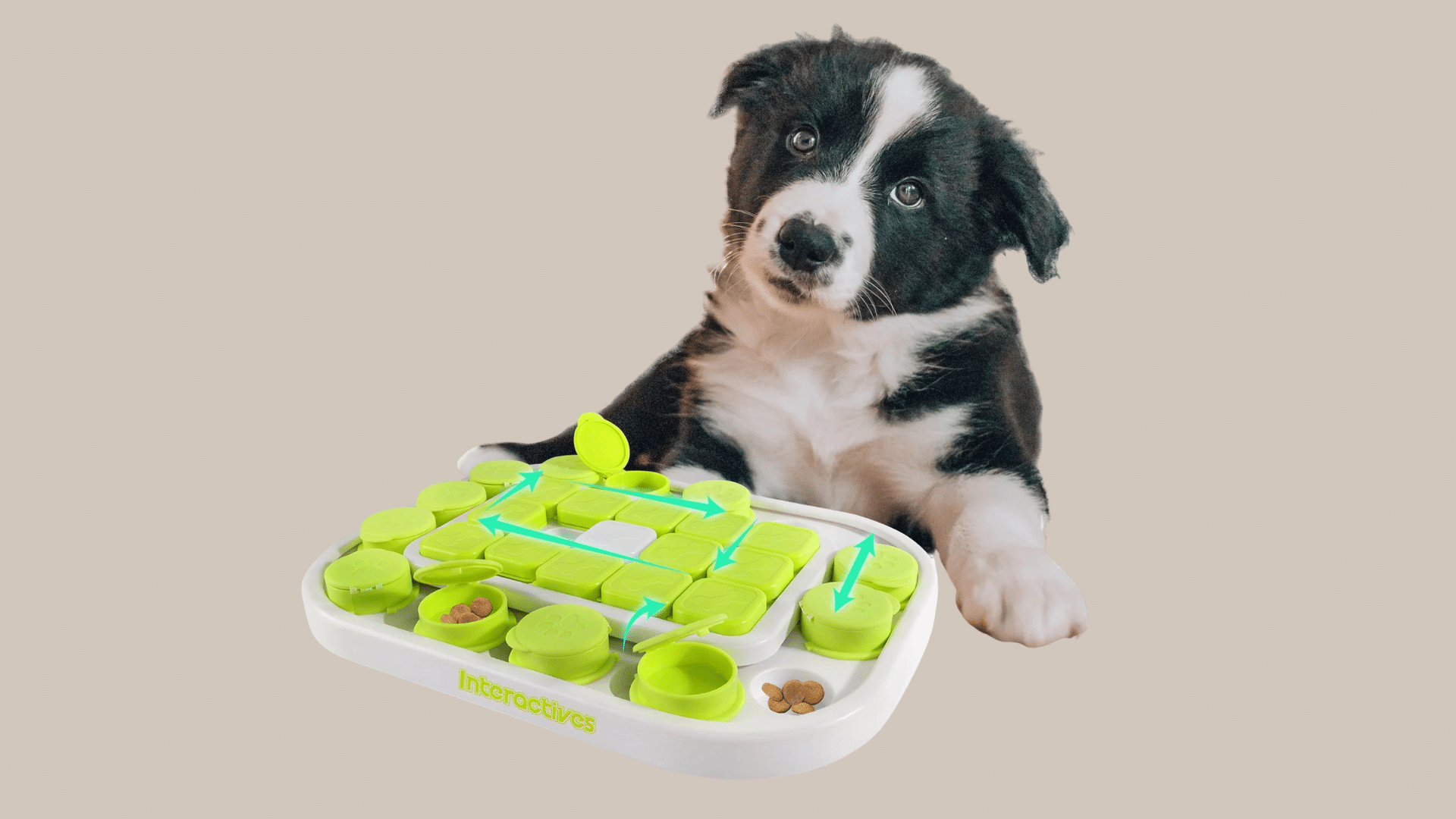 interactive-dog-puzzle-toys (1)