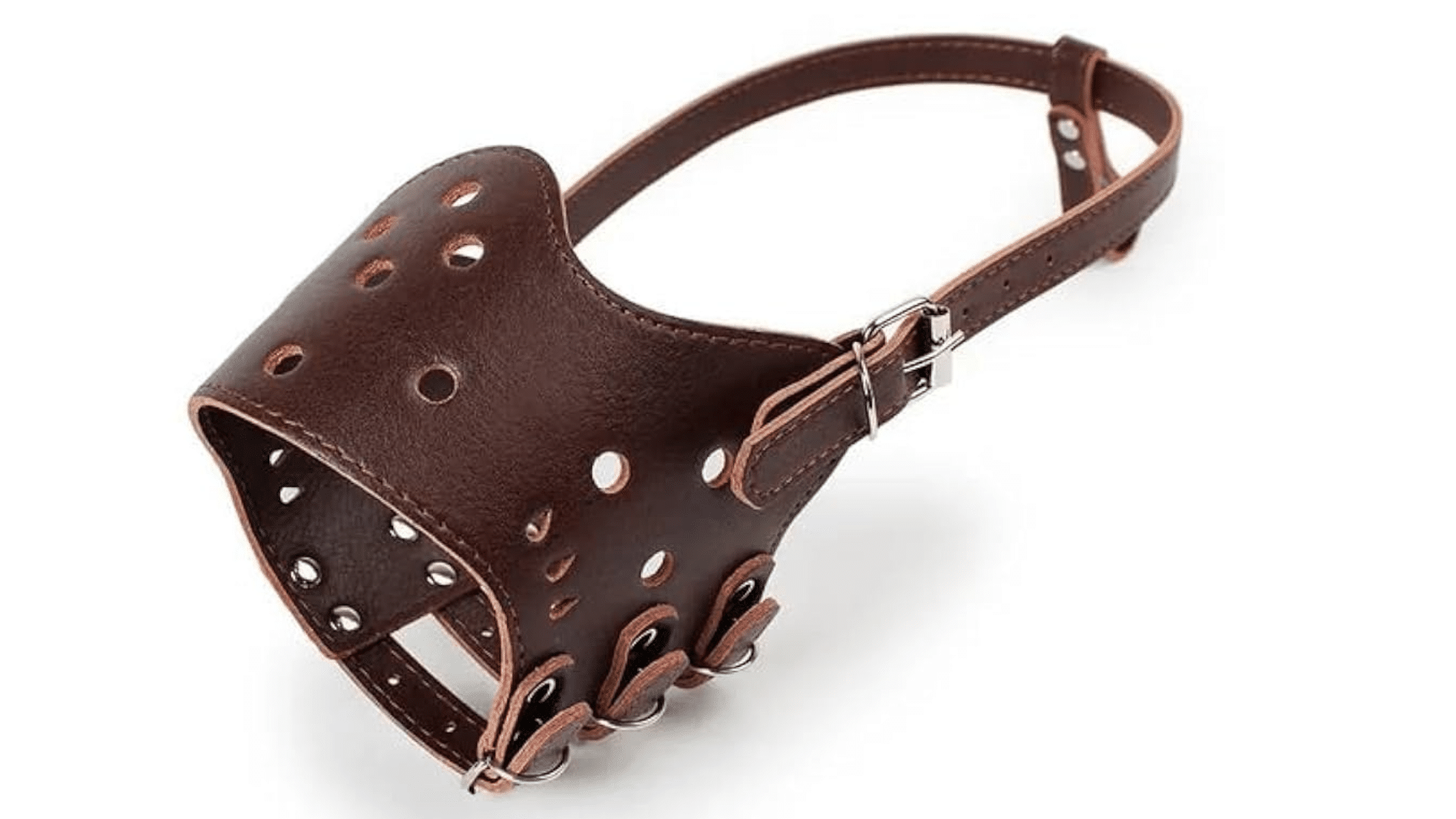 leather-muzzles