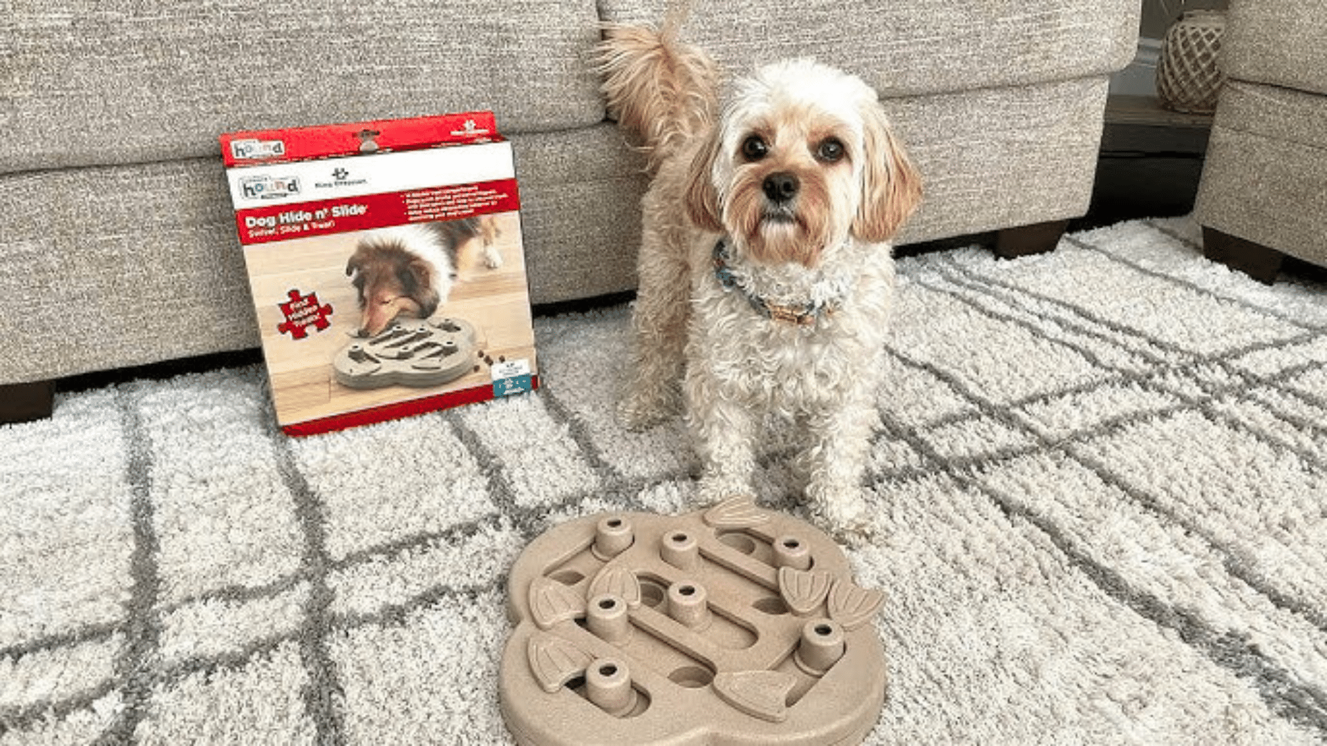outward-hound-hide-n-slide-puzzle