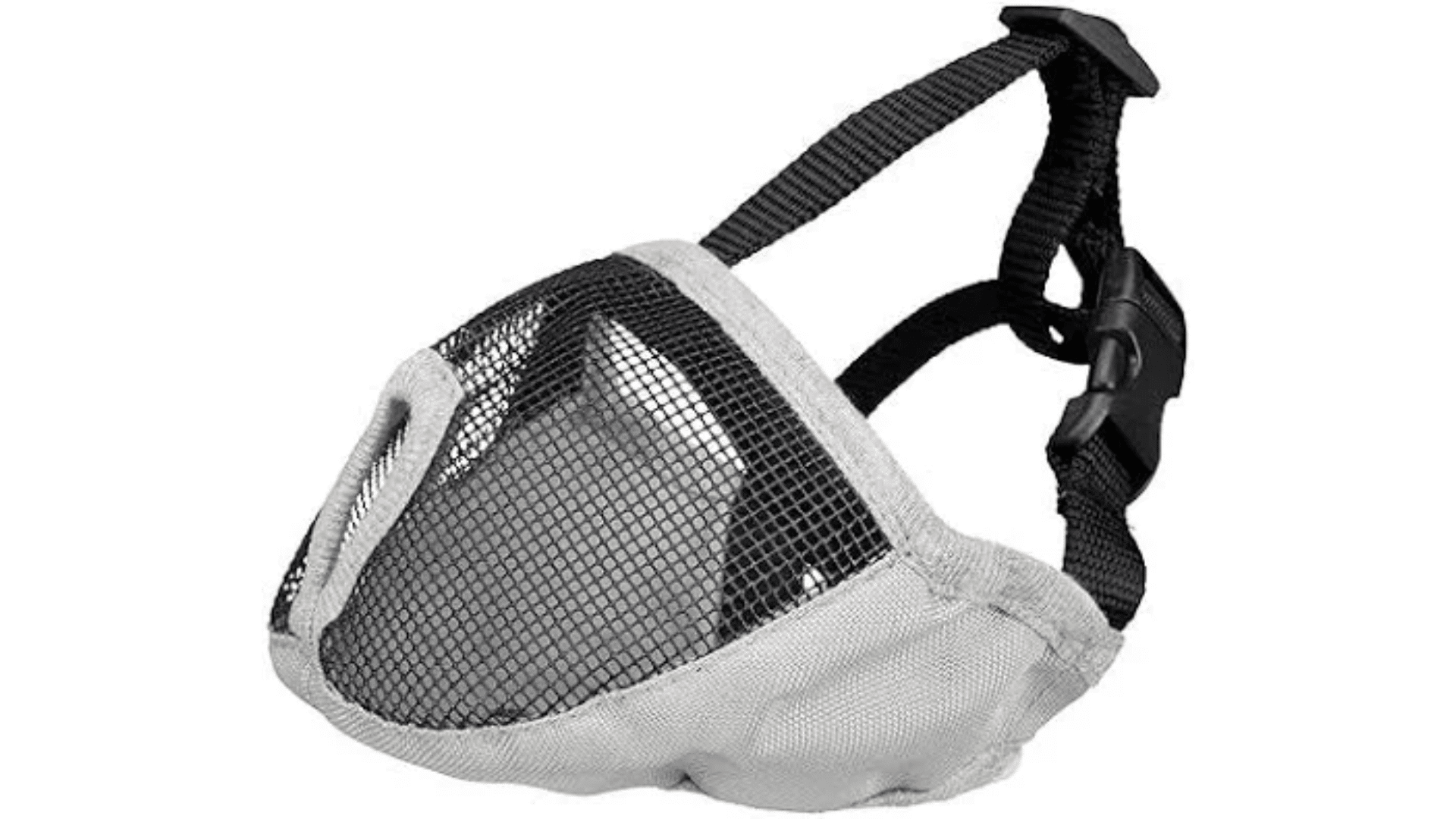 short-snout-specific-muzzles