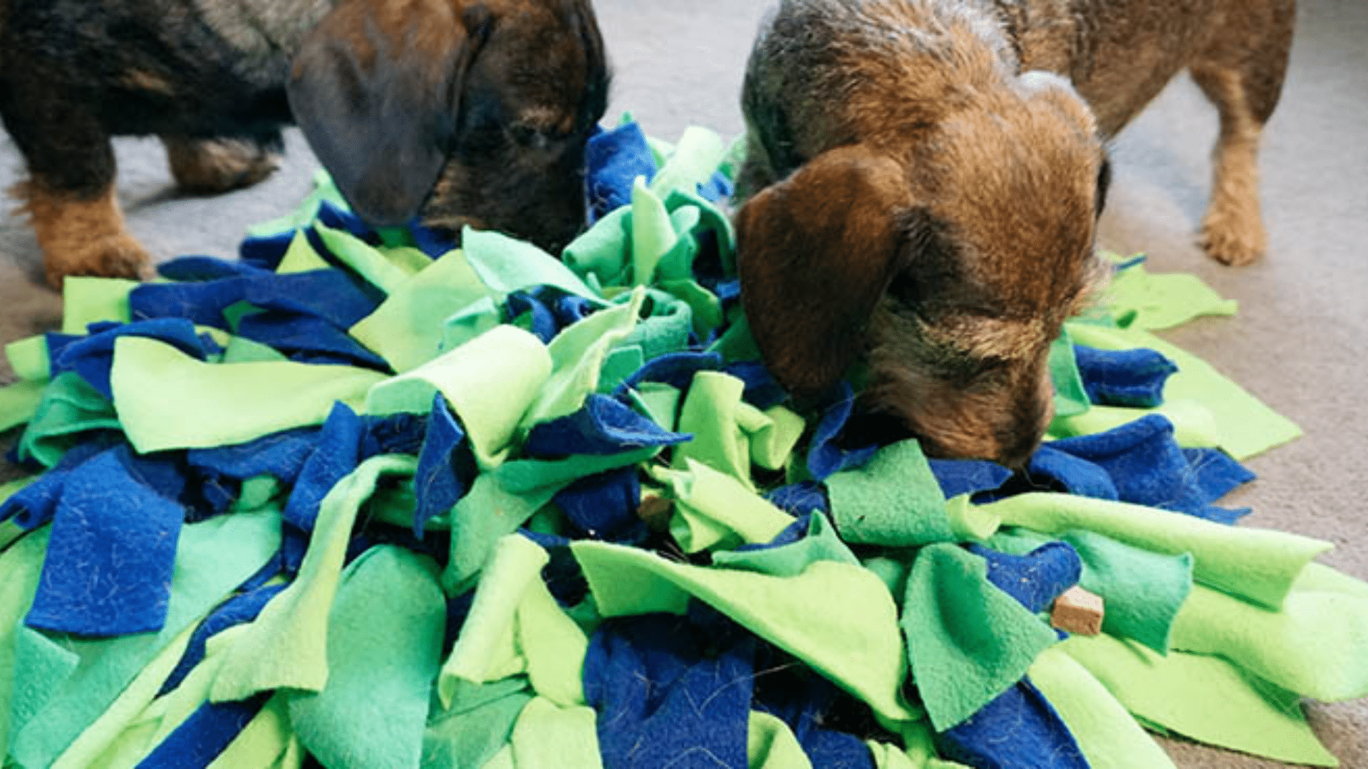 snuffle-mat
