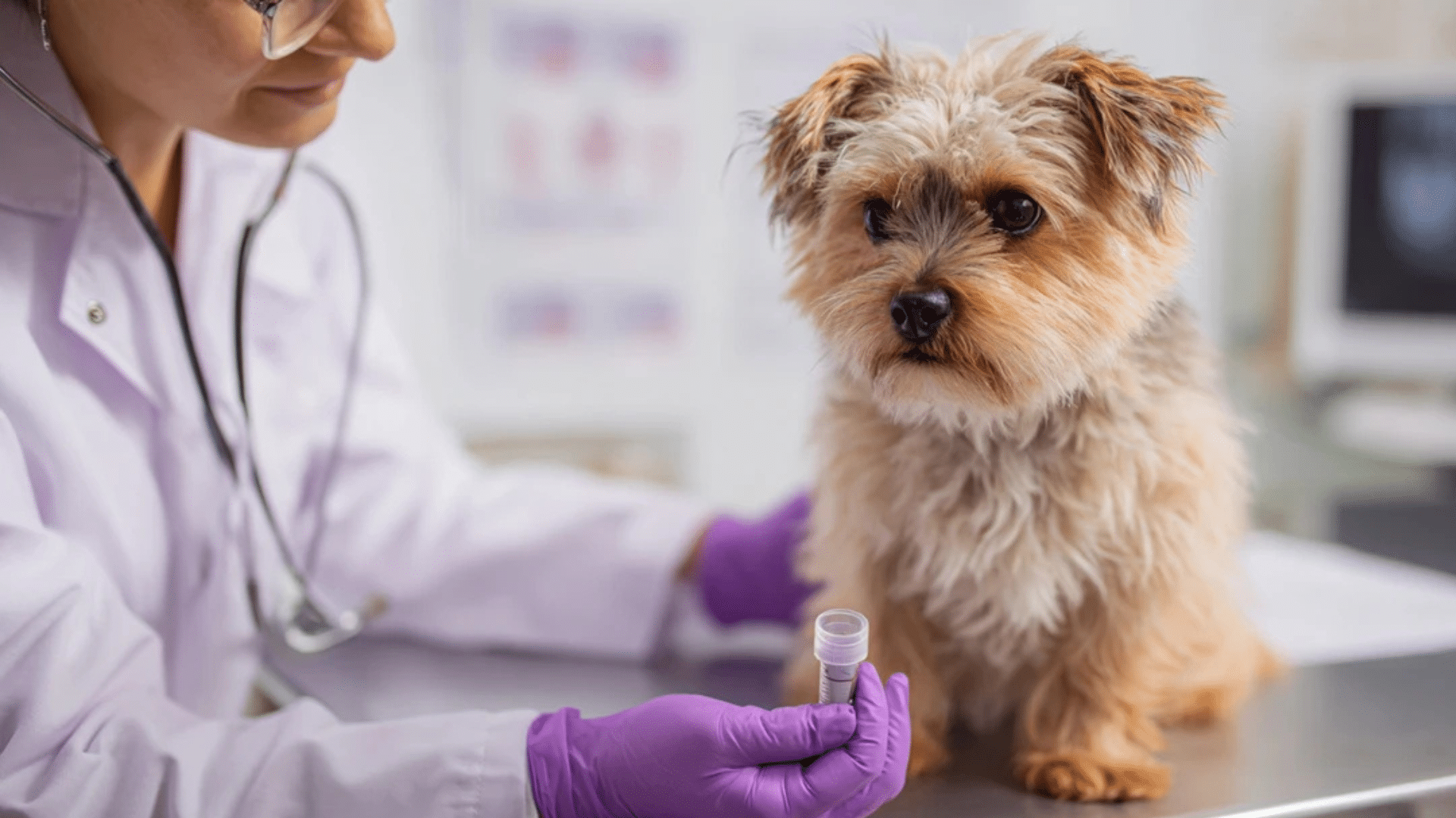 warning-signs-when-diarrhea-becomes-an-emergency