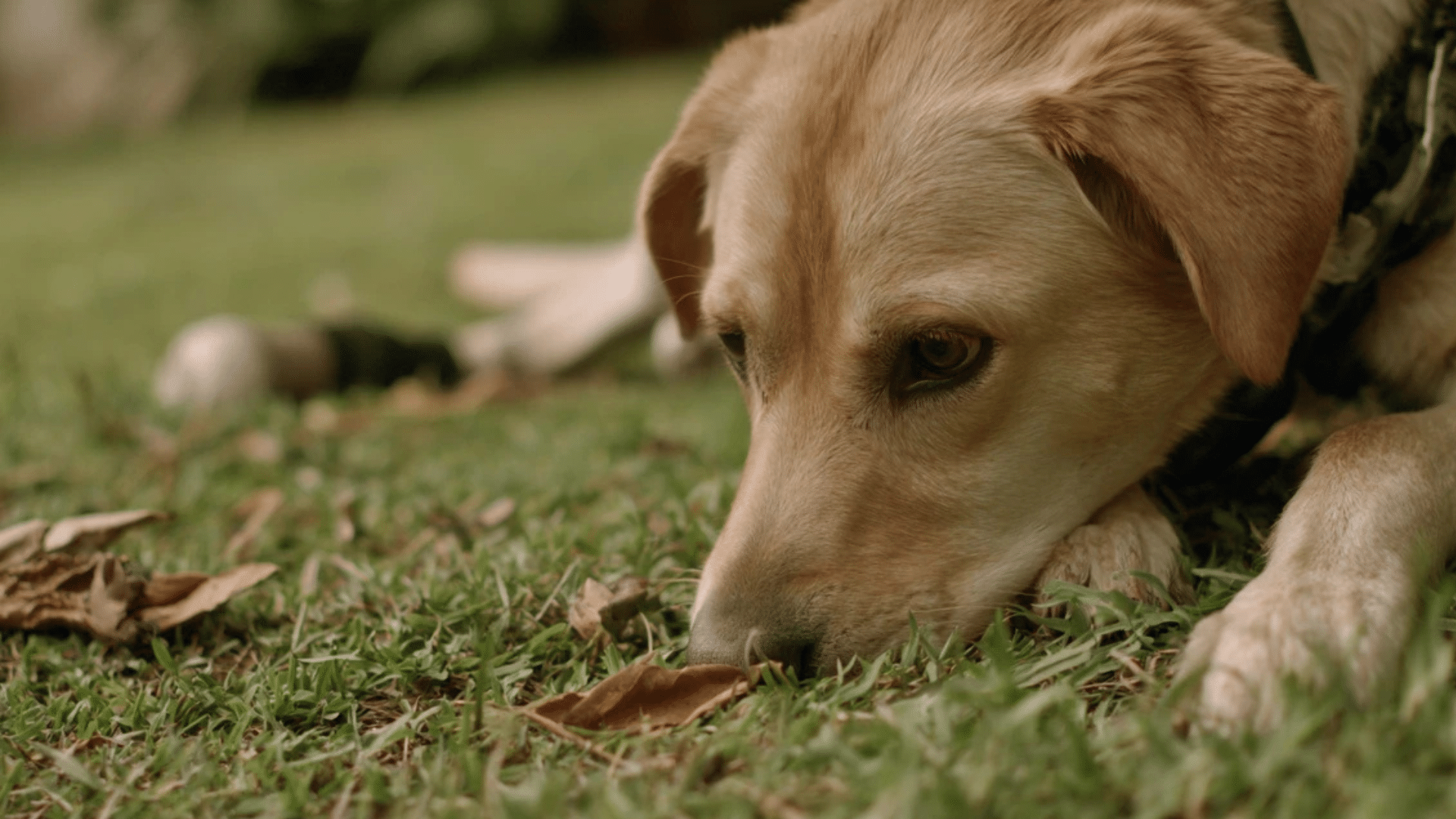 when-it-might-be-safe-to-monitor-and-first-steps-to-take