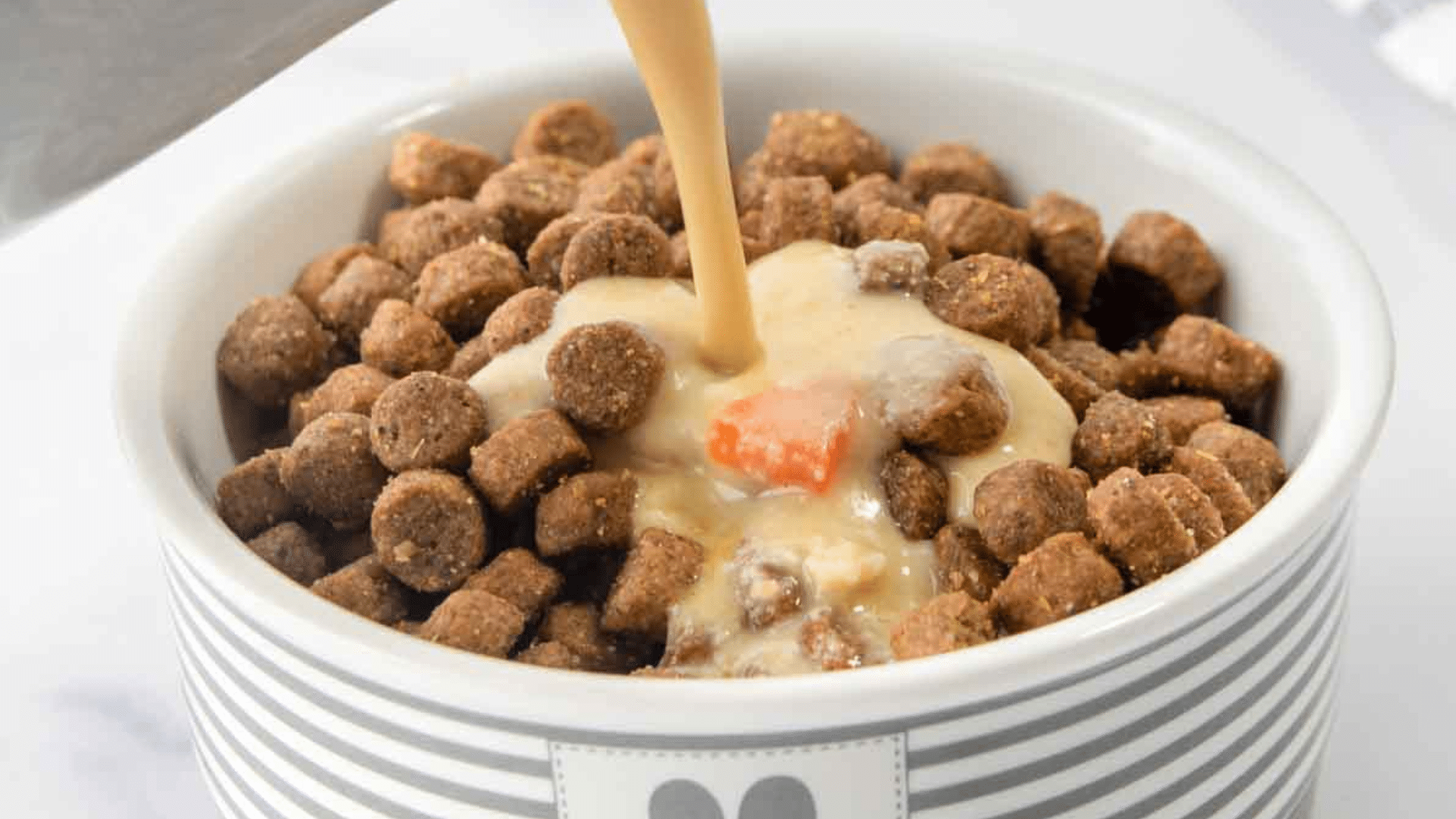 5. Softened Kibble with Broth